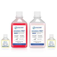 间充质干细胞无血清培养基