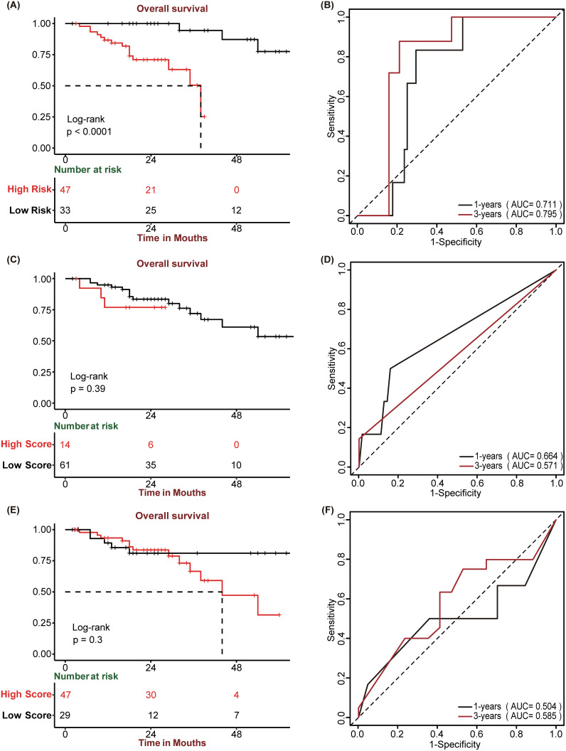 IF5.9,基于分子亚型的免疫相关特征,用于预测肝细胞癌的预后和免疫治疗效果