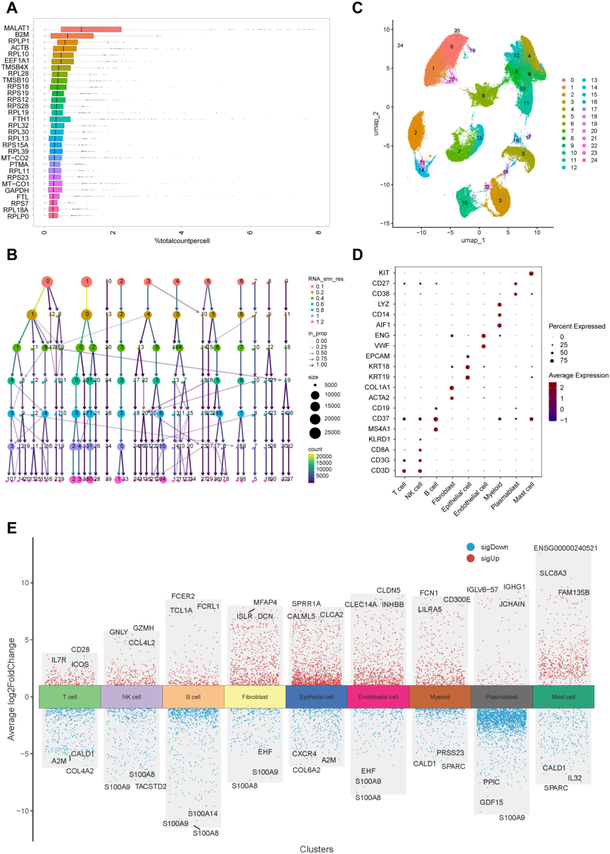 IF:5.9单细胞+乳酸化+机器学习,赋能锁定膀胱癌“代谢-乳酸化”双靶点FASN/RUNX2!