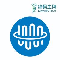 BDKRB2全长蛋白/Human BDKRB2 full length protein-synthetic nanodisc