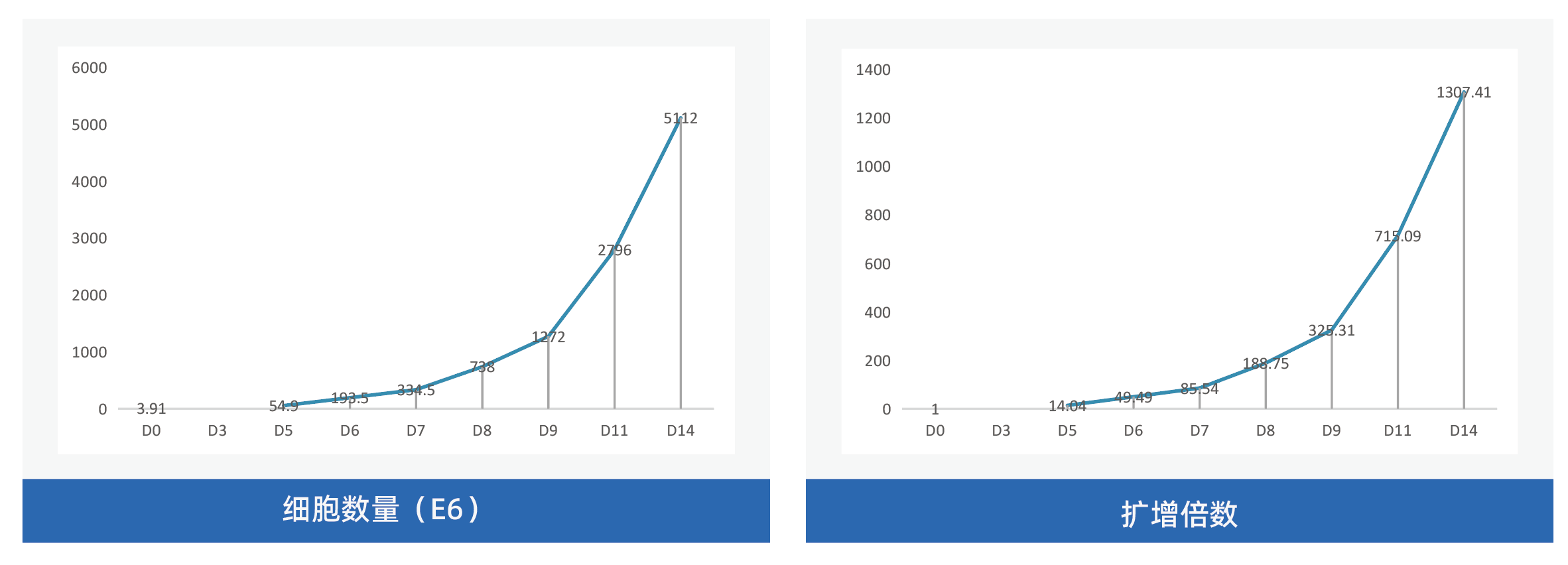 kit05人新鲜血样来源NK增强版激活扩增试剂盒