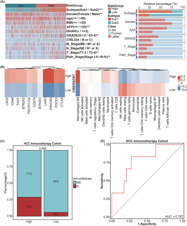 IF5.9,基于分子亚型的免疫相关特征,用于预测肝细胞癌的预后和免疫治疗效果