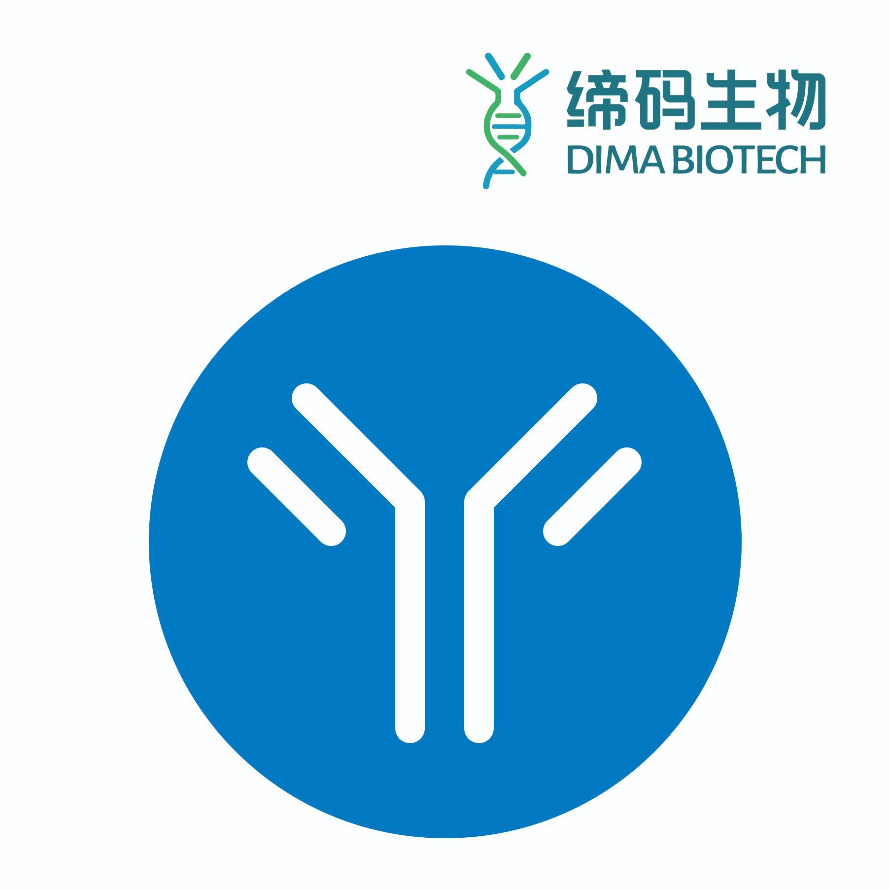 CLEC1A抗体/PE-conjugated Anti-CLEC1A antibody(DMC468); IgG1 Chimeric mAb