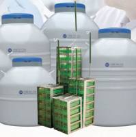 实验室系列-液相液氮罐