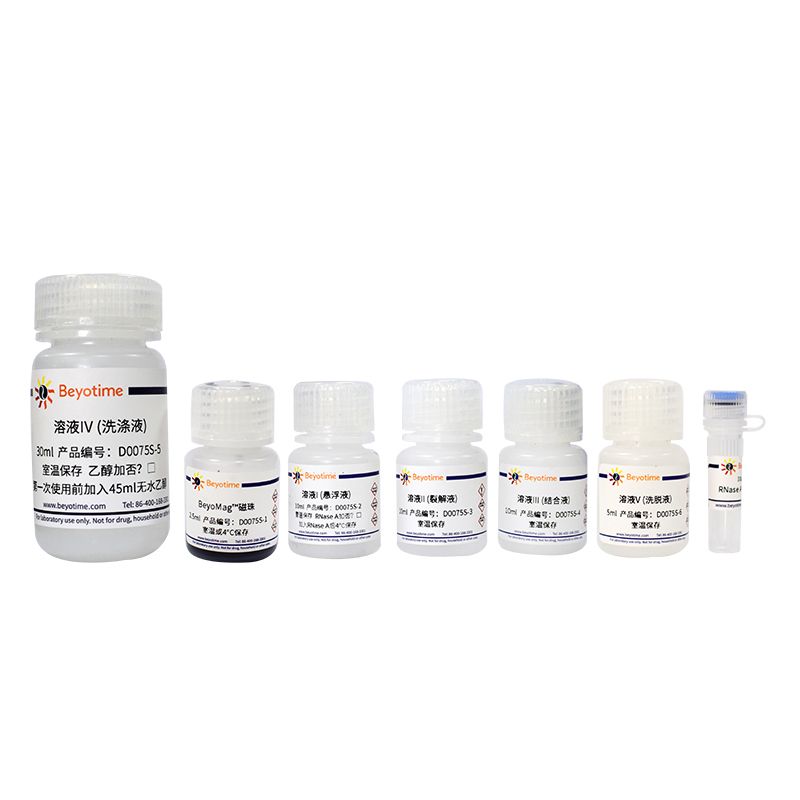 BeyoMag™磁珠法质粒小量抽提试剂盒