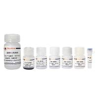 BeyoMag™磁珠法质粒小量抽提试剂盒