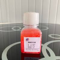 0.25%细胞胰酶消化液/EDTA