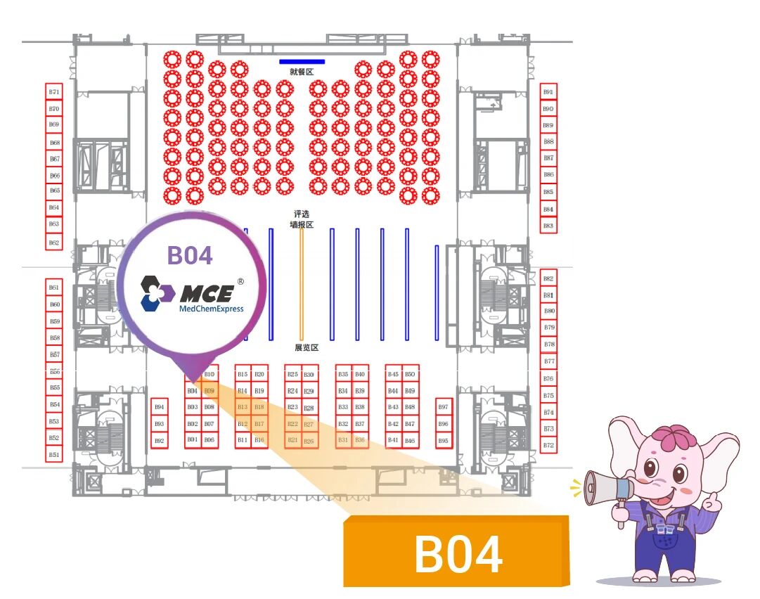 展会预告 ｜ 秋风气爽，正好相聚：MCE 中国九月重磅来袭，展前预告抢先看！
