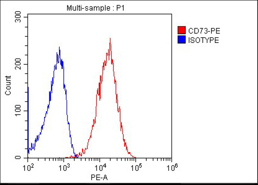 1757558818501385.jpg CD73.jpg