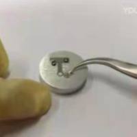 SEM-TEM载网样品台