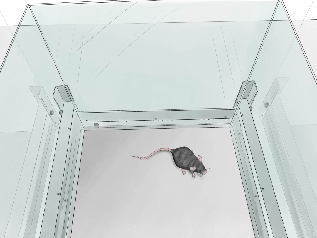 行为学经典旷场实验方法