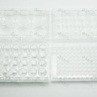 IV型I型胶原包被96孔细胞培养板,无菌