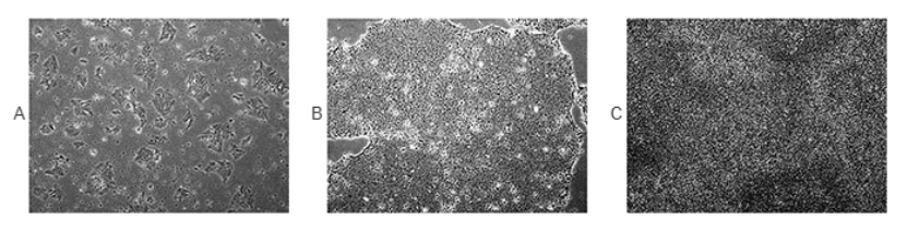 墙边的地毯上

AI 生成的内容可能不正确。