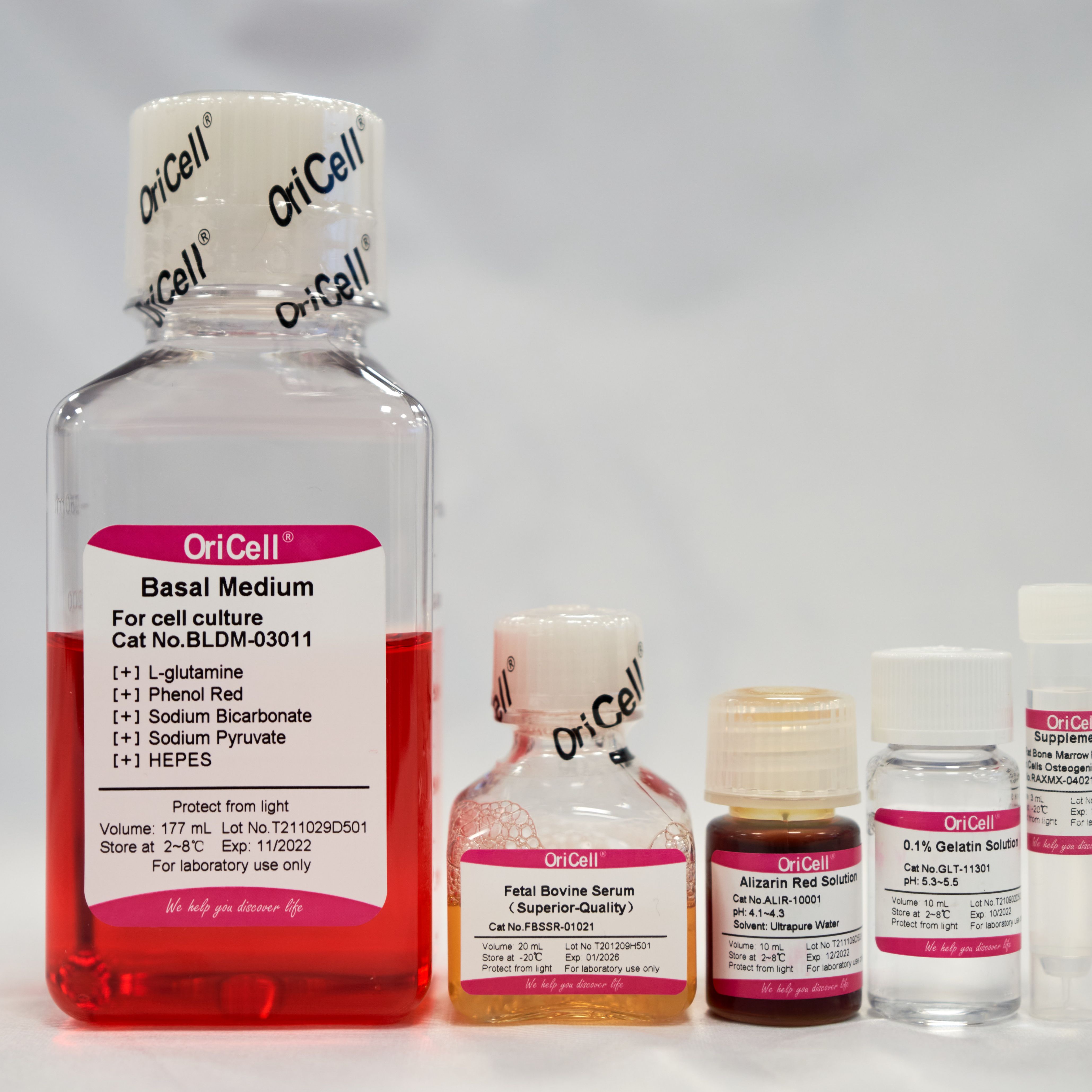 OriCell®细胞成骨/成脂/成软骨诱导分化培养基