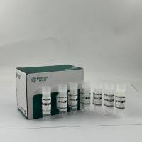 CYP4F2基因过表达细胞株