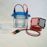  微型垂直电泳槽