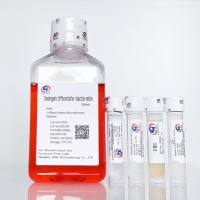 诱导成软骨分化培养基CHONDROGENIC differentiation Culture medium