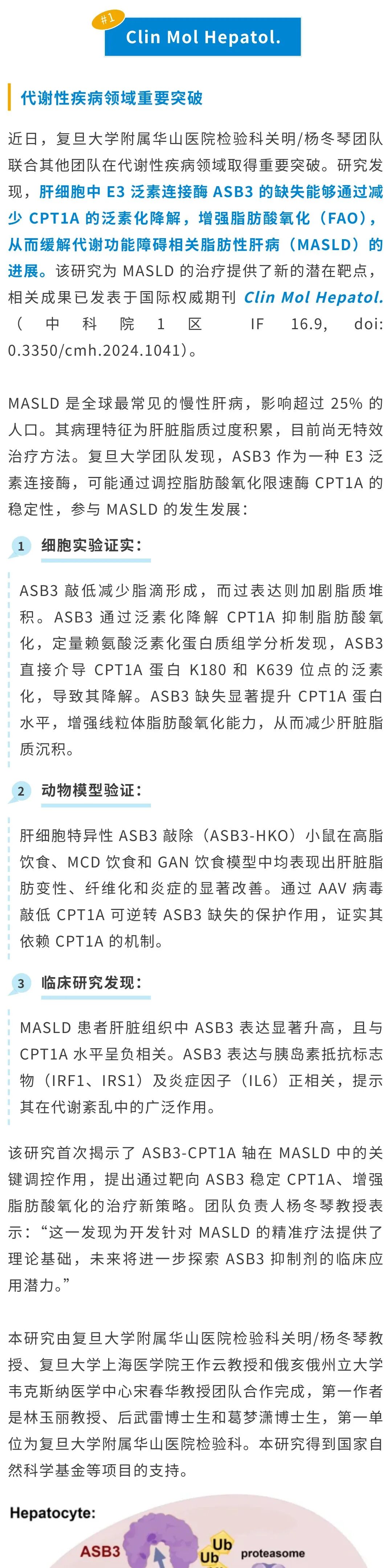 关明/杨冬琴团队揭示 ASB3-CPT1A 轴在肝脏脂质代谢中的关键作用