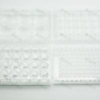 多聚赖氨酸PLL包被6孔培养板,无菌