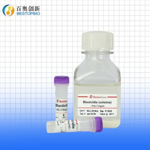 Blasticidin (10 mg/ml solution)