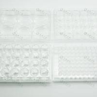 多聚赖氨酸PLL包被24孔培养板,无菌