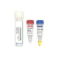 DNA LAMP 恒温扩增试剂盒