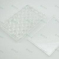 I型鼠尾胶原包被6孔板,无菌