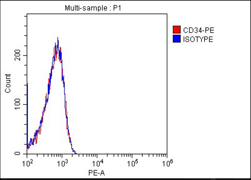 1757558796477268.jpg CD34.jpg