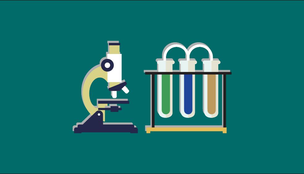 告别低效分离！Layer系列多模式层析填料带来纯化新思路