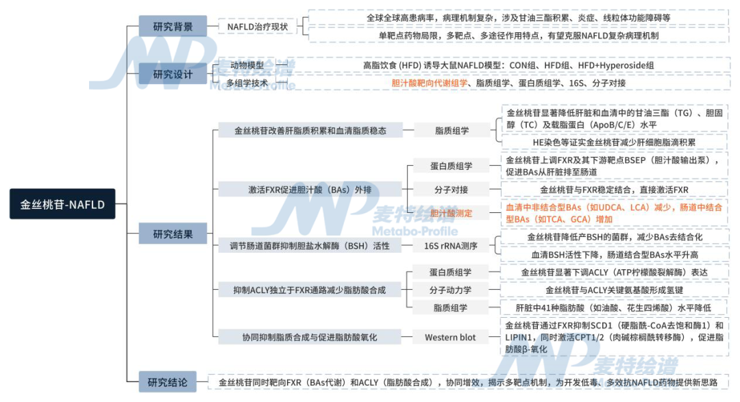 客户案例 | 非酒精性脂肪肝“代谢困局”：金丝桃苷改写胆汁酸、脂肪酸代谢“生存法则”