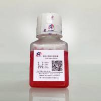 组织/类器官消化酶