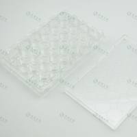 I型鼠尾胶原包被24孔板,无菌