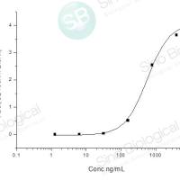 SARS-CoV Spike/S1 Protein (S1 Subunit, His Tag)