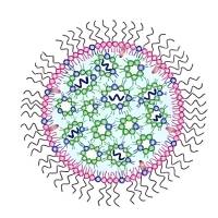 基于DC101修饰的siRNA/小分子联合递送脂质体纳米颗粒用于阻断结直肠癌血管新生信号通路