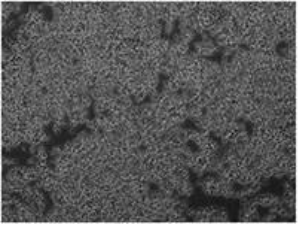 图片包含 照片, 游戏机, 田地, 一群

AI 生成的内容可能不正确。