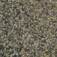 浙江(杭州)美森 急性T淋巴细胞白血病细胞 I2.1