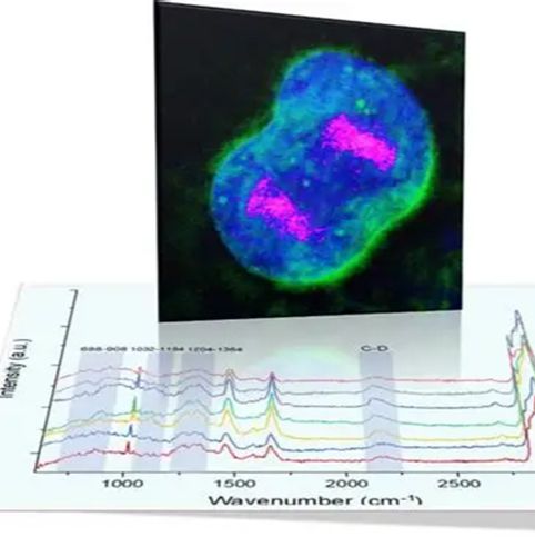 拉曼光谱检测服务