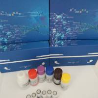 人(Human)微纤丝关联蛋白1(MAGP1 ) ELISA检测试剂盒