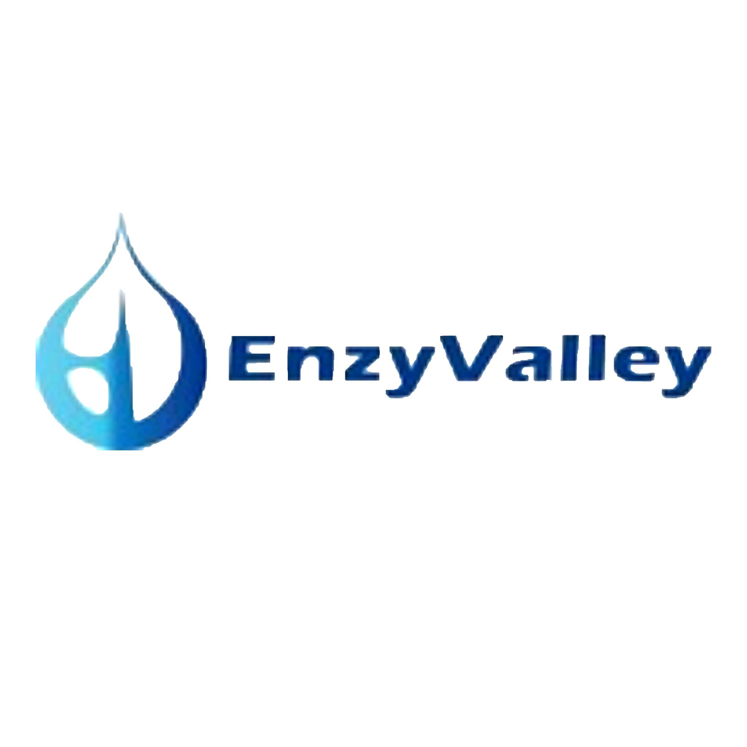 TA-cloning Kit 试剂