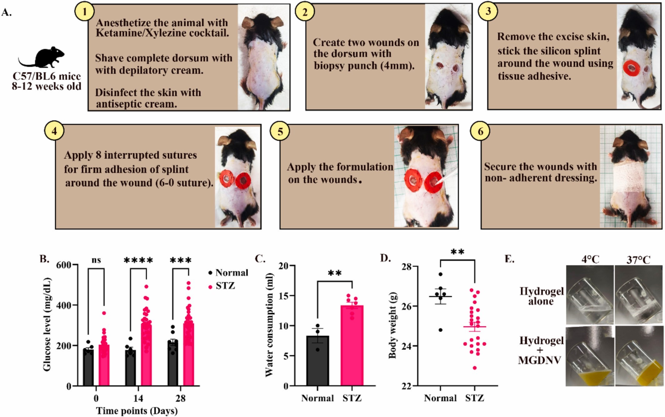 植物外泌体 植物外泌体