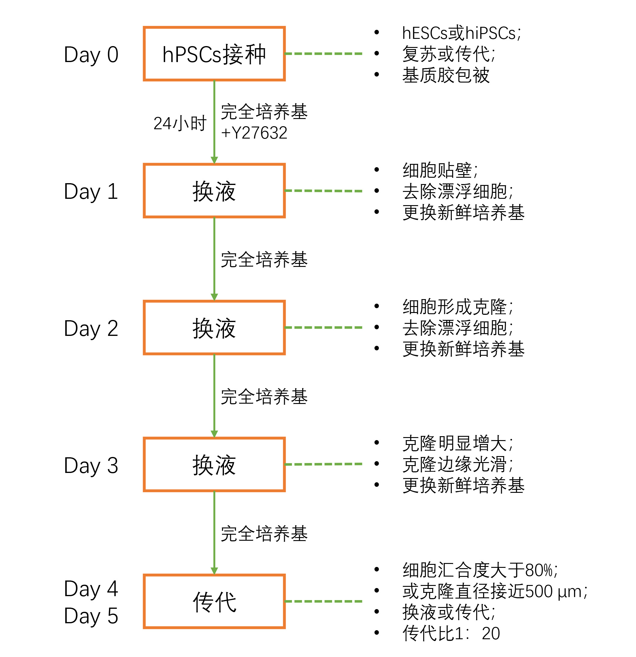 FyPluri(TM) hESCs/hiPSCs人多能干细胞全合成培养基