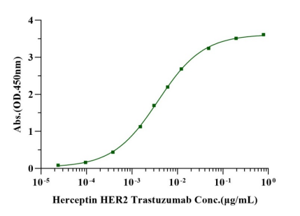 ADC靶点蛋白：精准抗癌的“宝藏弹药”