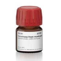 酪氨酸酶 来源于蘑菇