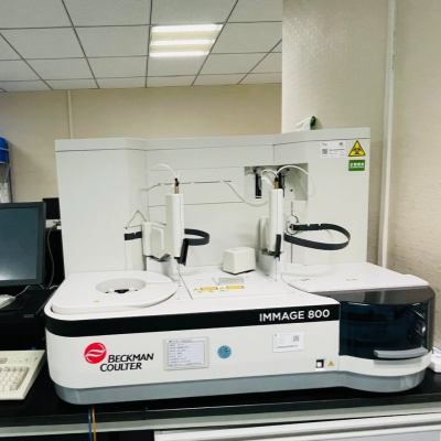 二手贝克曼库尔特IMMAGE 800 特定蛋白分析仪