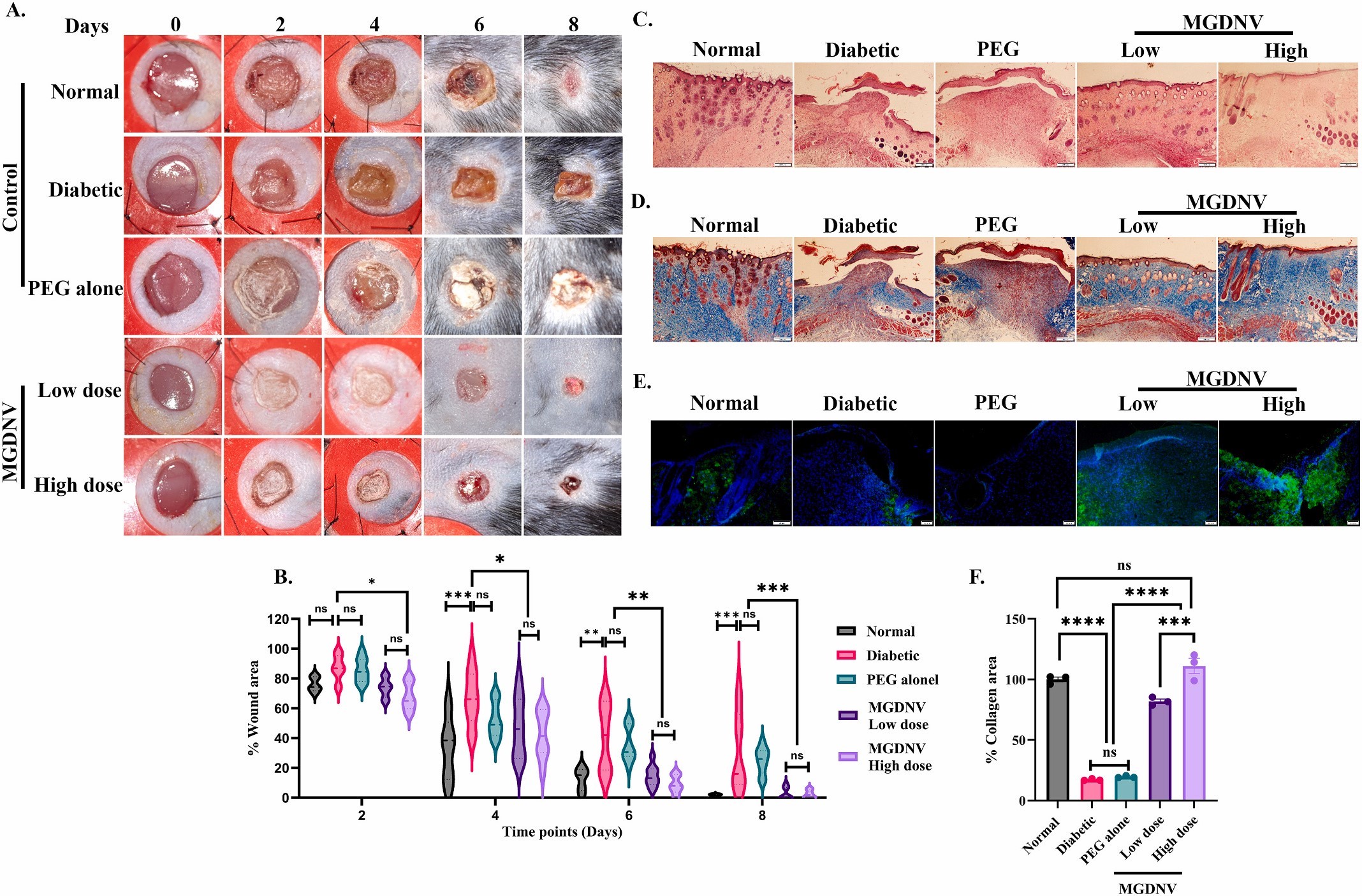 植物外泌体 植物外泌体