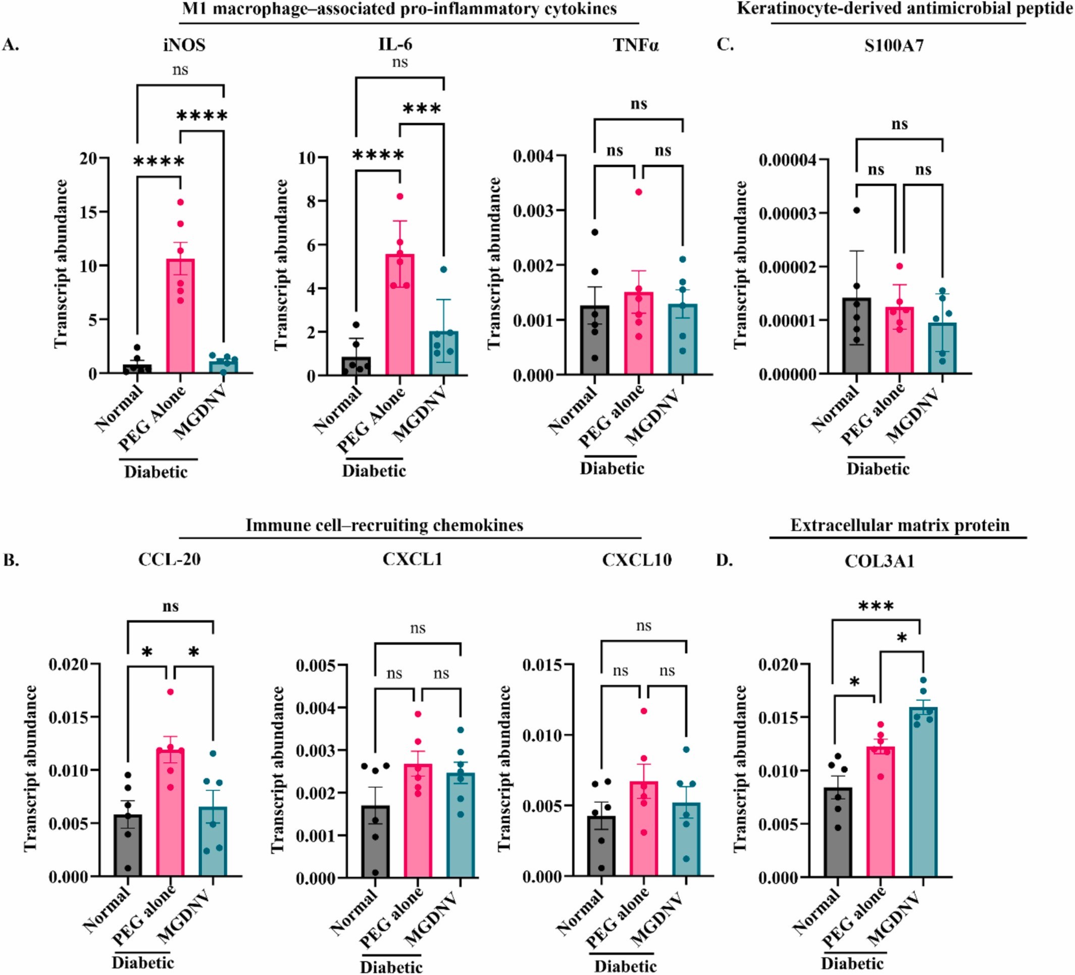 植物外泌体 植物外泌体