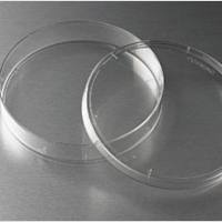 150mm细胞培养皿,TC处理