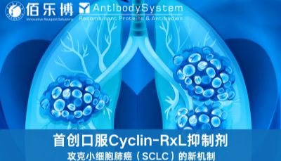 【Nature突破】口服大环肽药物横空出世，精准击杀“不可成药”靶点，为小细胞肺癌带来新曙光！