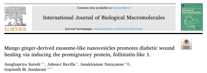 “植物外泌体”临床转化新潜力！低成本PEG分离+FSTL1验证，实现发文8+，操作简单易复现！