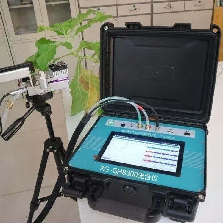 XG-GH8300植物光合测量系统